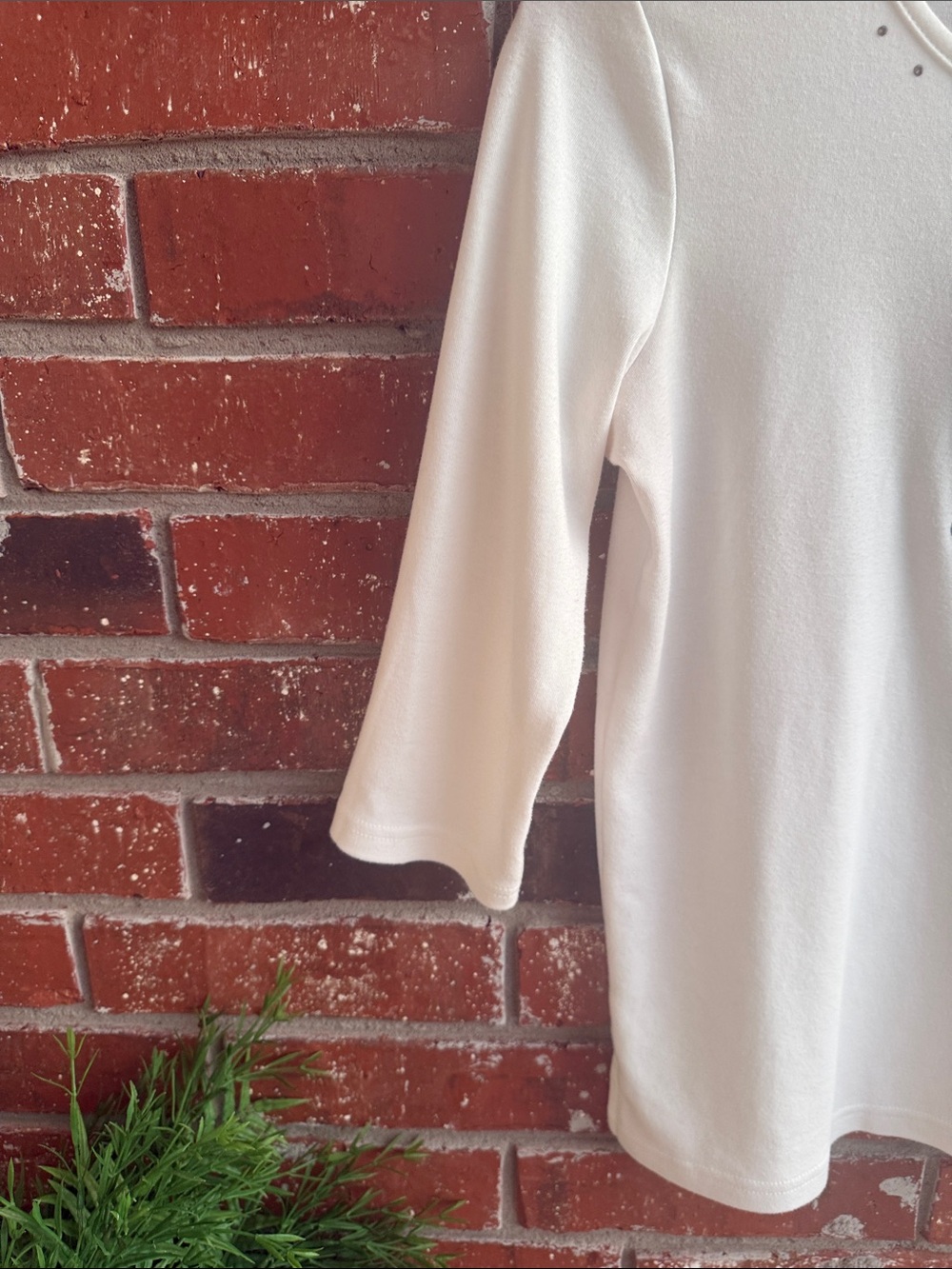 Quacker Factory Cream Top with Leopard Cat Appliqué - Picture 4 of 8